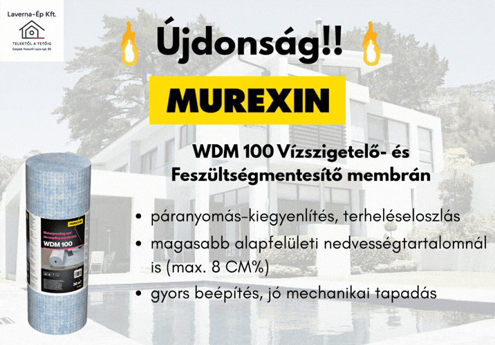 WDM 100